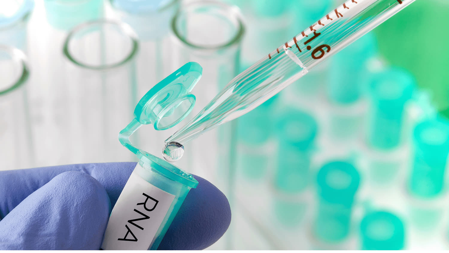 Pipetting into a tube labelled RNA
