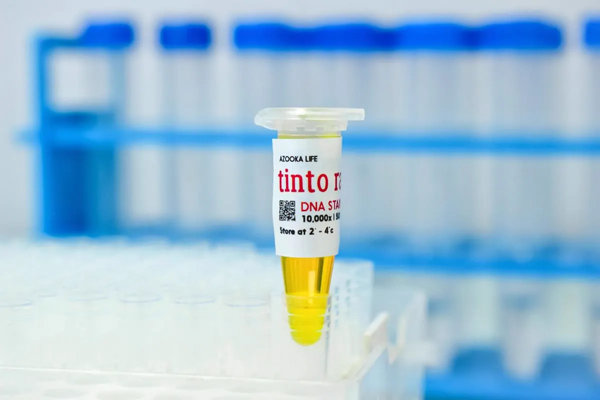 tinto rang™ DNA Quantification Kit