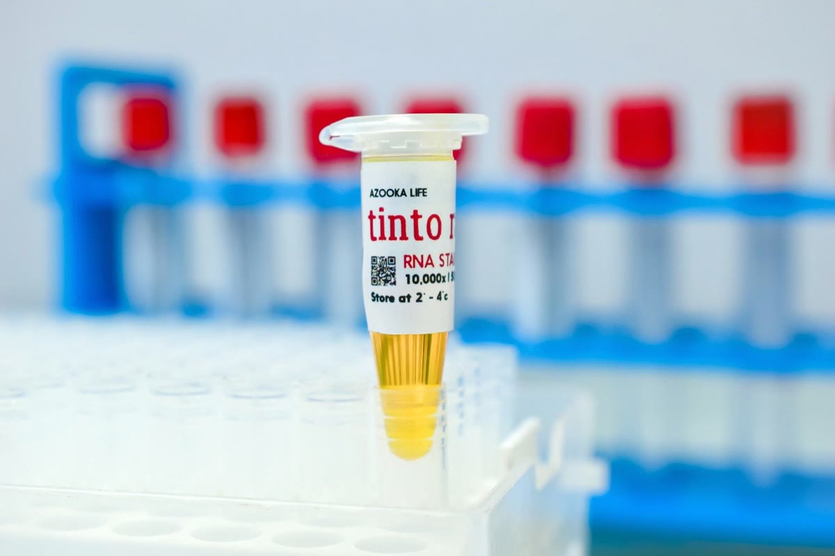 tinto rang™ RNA Quantification Kit
